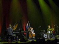Photo : Annie KOCH : 2018, Eden, Grégory Ott trio
