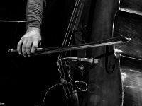 Photo : Chantal LESER
