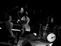 Le trio - photo : Pauline PÉNICAUD