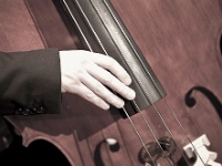 Franck BEDEZ - photo : Daniel FAULHABER