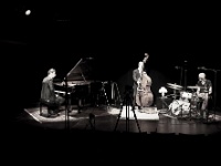 Le Grégory OTT Trio - photo : Daniel FAULHABER